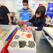 SIALEx (3) SIALEx (3)