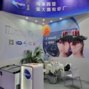 CFSE Expo 4 CFSE Expo 4