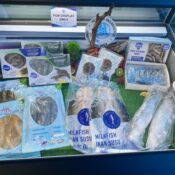 maha-sept-2024_12 maha-sept-2024_12