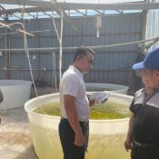 bab-KSAF-img_06